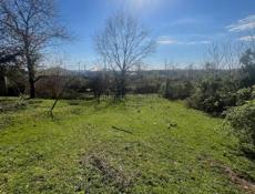 Цандрипш 10 соток. 