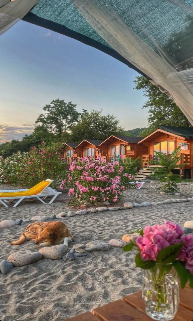 Сдаются домики от 2500 на берегу моря 