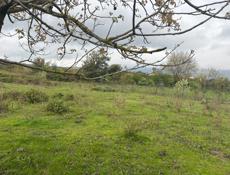 Продается участок 27 соток  Находится в Сухуме  Район Ачадара  Заезд объездной  