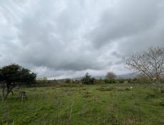 Продается участок 27 соток  Находится в Сухуме  Район Ачадара  Заезд объездной  