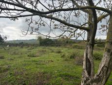 Продается участок 27 соток  Находится в Сухуме  Район Ачадара  Заезд объездной  