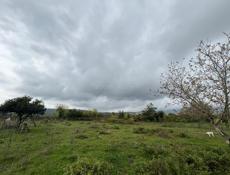 Продается участок 27 соток  Находится в Сухуме  Район Ачадара  Заезд объездной  