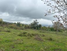 Продается участок 27 соток  Находится в Сухуме  Район Ачадара  Заезд объездной  