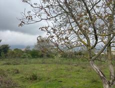 Продается участок 27 соток  Находится в Сухуме  Район Ачадара  Заезд объездной  