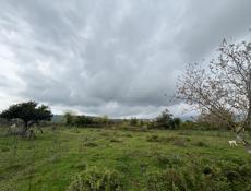 Продается участок 27 соток  Находится в Сухуме  Район Ачадара  Заезд объездной  