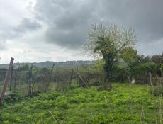 Продается участок 27 соток  Находится в Сухуме  Район Ачадара  Заезд объездной  