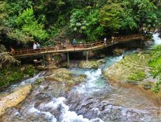 Срочно ищу работу 