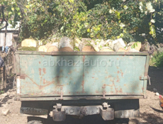 Дрова связь 9961888