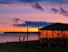 Требуется бармен