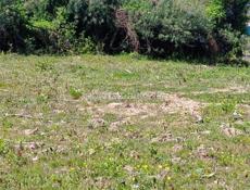 Продается участок, 10 соток❗️