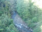 Куплю два бычка до полугода