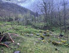 Ущелье Рица 