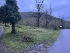 Ущелье Рица 