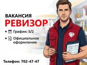 Работа в ревизионном отделе