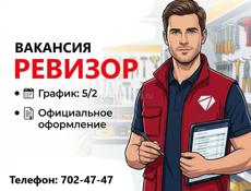 Работа в ревизионном отделе