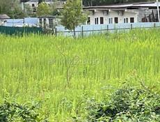 Продам участок 6 соток в Цандрипше.