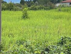 Продам участок 6 соток в Цандрипше.