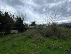 Ачадара 25 соток Роснефть