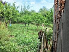 Участок 15 Соток 