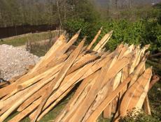 Колышки сухие , хорошего размера и качества 