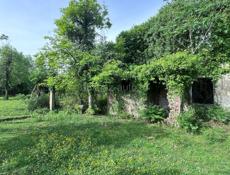 50 соток Сухум 