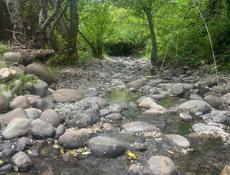 50 соток Сухум 