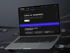 Создам сайт, Telegram бота, программу 💻