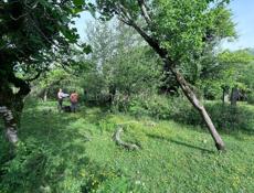 50 соток Сухум 