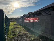 Алахадзи улШаумян