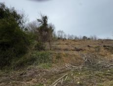 10 сот в с.Псахара Гагрский район