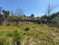 Участок 8 соток