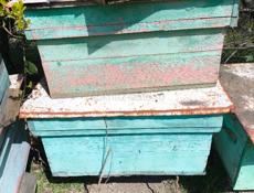 Домики для пчёл 