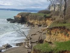 50 соток место шикарное 