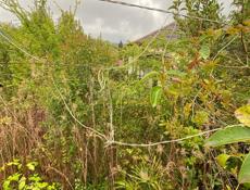 Участок на виэме Сухум