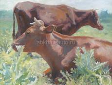 Стельные коровы(беременные).