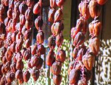 Продаю сушку 