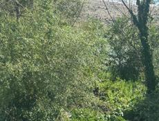 Сдаются комнаты в частном доме