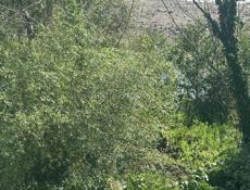 Сдаются комнаты в частном доме