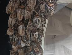 Хурма сушеная