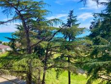 3 - К. КВАРТИРА В ПИЦУНДЕ