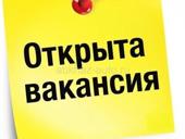 Повар в кафе. Хорошая зарплата!