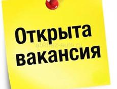 Повар в кафе. Хорошая зарплата!