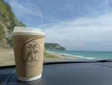 Сдам 3-х комнатную квартиру Первая береговая линия 