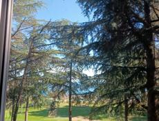 Сдам 3-х комнатную квартиру Первая береговая линия 