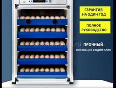 Инкубатор яиц на 340  яиц