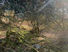 Киндги горячий источник 