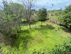 Сухум турбаза 