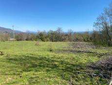 Гудаута приморск 