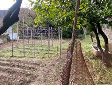 Дома в хорошем месте.