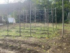 Дома в хорошем месте.